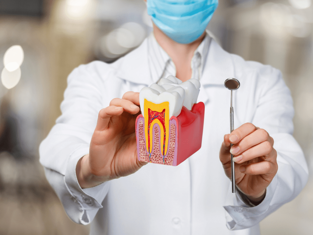 Dentist - North Barrie Dental